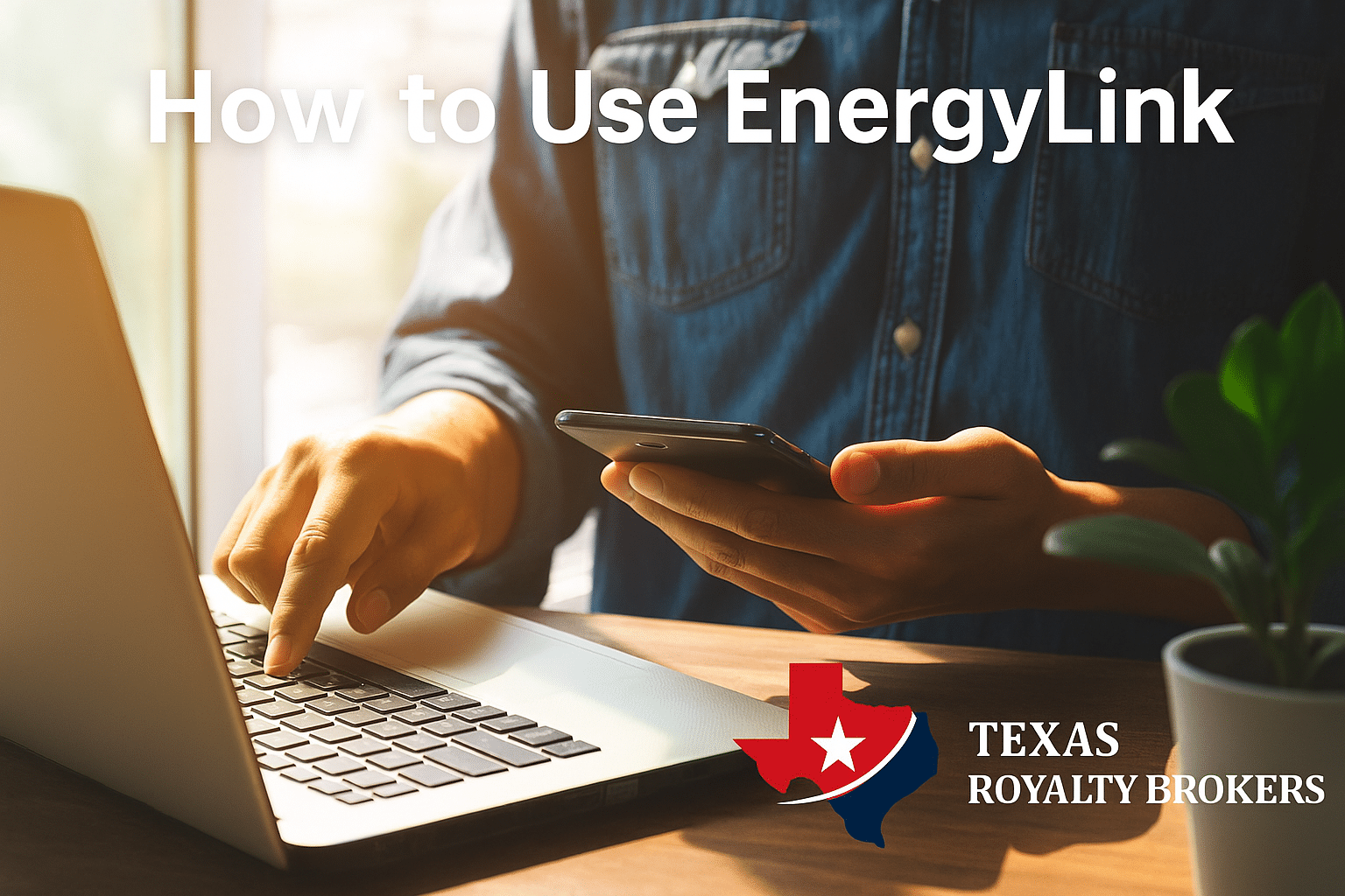 How to Use EnergyLink