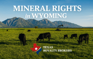 Mineral Rights in Wyoming